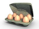 Les oeufs