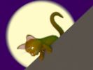 Un chat roux